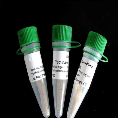 甲胎蛋白AFP(AFP Antibody)图片