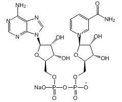 -Nicotinamide adenine dinucleotide