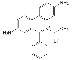 Ethidium Bromide