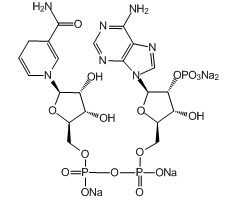 β-Nicotinamide adenine dinucleotide 2'-phosphate reduced tetrasodium salt