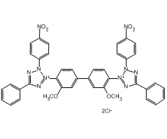 Nitrotetrazolium blue chloride