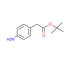 tert-Butyl-4-aminophenylacetate