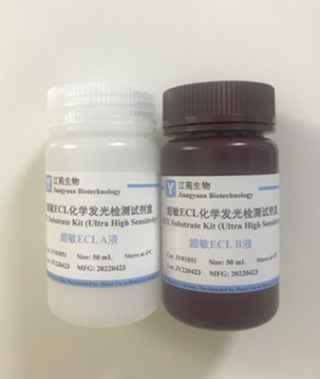 超敏型ECL化学发光检测试剂盒WB显影液图片