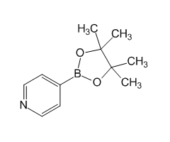 4-(4,4,5,5-Tetramethyl-1,3,2-dioxaborolan-2-yl)-pyridine