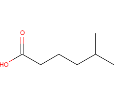 5-Methylhexanoic Acid