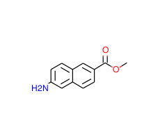 Methyl 6-Amino-2-naphthoate
