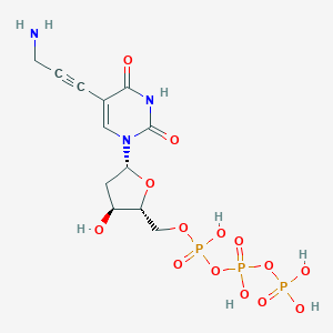 5-(3-Amino-1-propyn-1-yl)-2'-deoxyuridine 5'-(Tetrahydrogen Triphosphate)图片