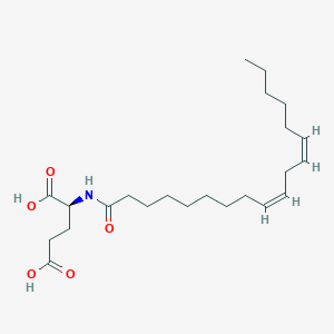 Glutamic acid linoleamide图片