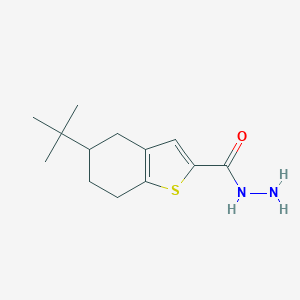 5-Tert-butyl-4,5,6,7-tetrahydro-1-benzothiophene-2-carbohydrazide图片