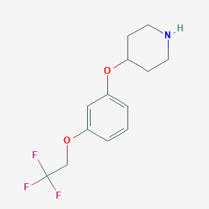 4-[3-(2,2,2-Trifluoroethoxy)-phenoxy]-piperidine图片