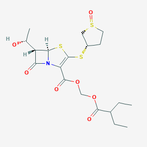 PF 03709270图片
