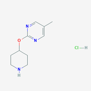5-Methyl-2-(piperidin-4-yloxy)pyrimidinehydrochloride图片