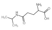 h-gln(isopropyl)-oh图片