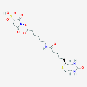 Sulfo-NHS-LC-Biotin图片