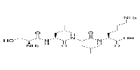 SLLK,Control Peptide for TSP1 Inhibitor图片