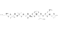 OVA Peptide 257-264图片