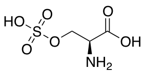H-Ser(SO3H)-OH图片