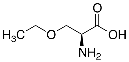 O-乙氧基-L-丝氨酸盐酸盐图片