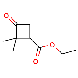 ethyl2,2-dimethyl-3-oxocyclobutane-1-carboxylate图片