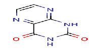 1,2,3,4-tetrahydropteridine-2,4-dione图片