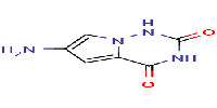 6-amino-1H,2H,3H,4H-pyrrolo[2,1-f][1,2,4]triazine-2,4-dione图片