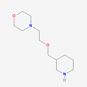 4-[2-(3-Piperidinylmethoxy)ethyl]morpholine图片