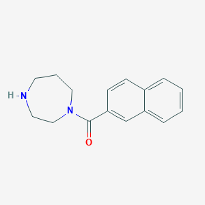1-(naphthalene-2-carbonyl)-1,4-diazepane图片