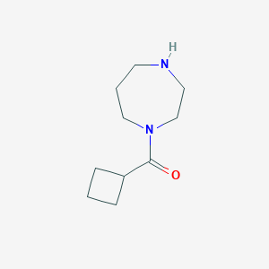1-(cyclobutylcarbonyl)-1,4-diazepane图片