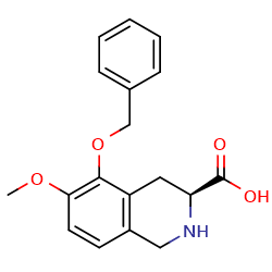 (3S)-5-(benzyloxy)-6-methoxy-1,2,3,4-tetrahydroisoquinoline-3-carboxylicacid图片