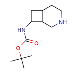 tert-butylN-{3-azabicyclo[4,2,0]octan-8-yl}carbamate图片