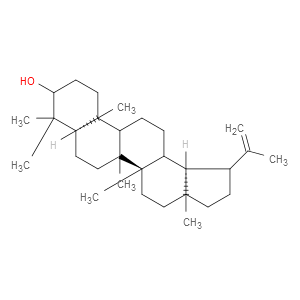 羽扇豆醇图片
