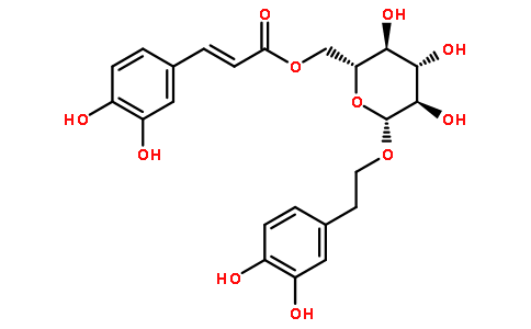 木通苯乙醇苷B图片