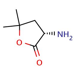 (3S)-3-amino-5,5-dimethyloxolan-2-one图片