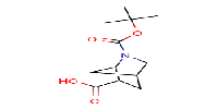 2-Aza-bicyclo[2,2,1]heptane-2,6-dicarboxylicacid2-tert-butylester图片