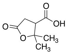 2,2-dimethyl-5-oxooxolane-3-carboxylicacid图片