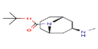 Exo-3-Methylamino-9-boc-9-azabicyclo[3,3,1]nonane图片