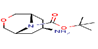Tert-butyl7-amino-3-oxa-9-azabicyclo[3,3,1]nonane-9-carboxylate图片