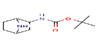 Tert-butylN-{7-azabicyclo[2,2,1]heptan-2-yl}carbamate图片