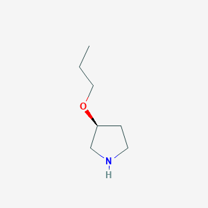 (S)-3-Propoxy-pyrrolidine图片