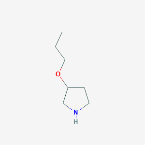 3-Propoxy-pyrrolidine图片