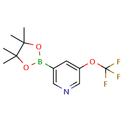 3-(4,4,5,5-tetramethyl-1,3,2-dioxaborolan-2-yl)-5-(trifluoromethoxy)pyridine图片
