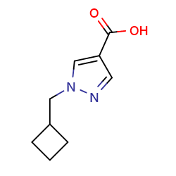 1-(cyclobutylmethyl)-1H-pyrazole-4-carboxylicacid图片