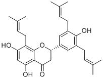 5-Hydroxysophoranone图片