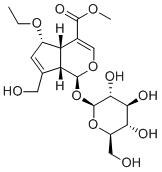 6-Ethoxygeniposide图片