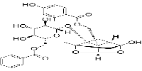 Benzoyloxypaeoniflorin图片