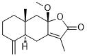 8β-Methoxyatractylenolide I图片