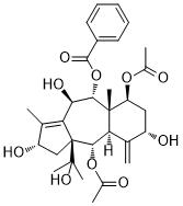 9-Deacetyl-9-benzoyl-10-debenzoyltaxchinin A图片