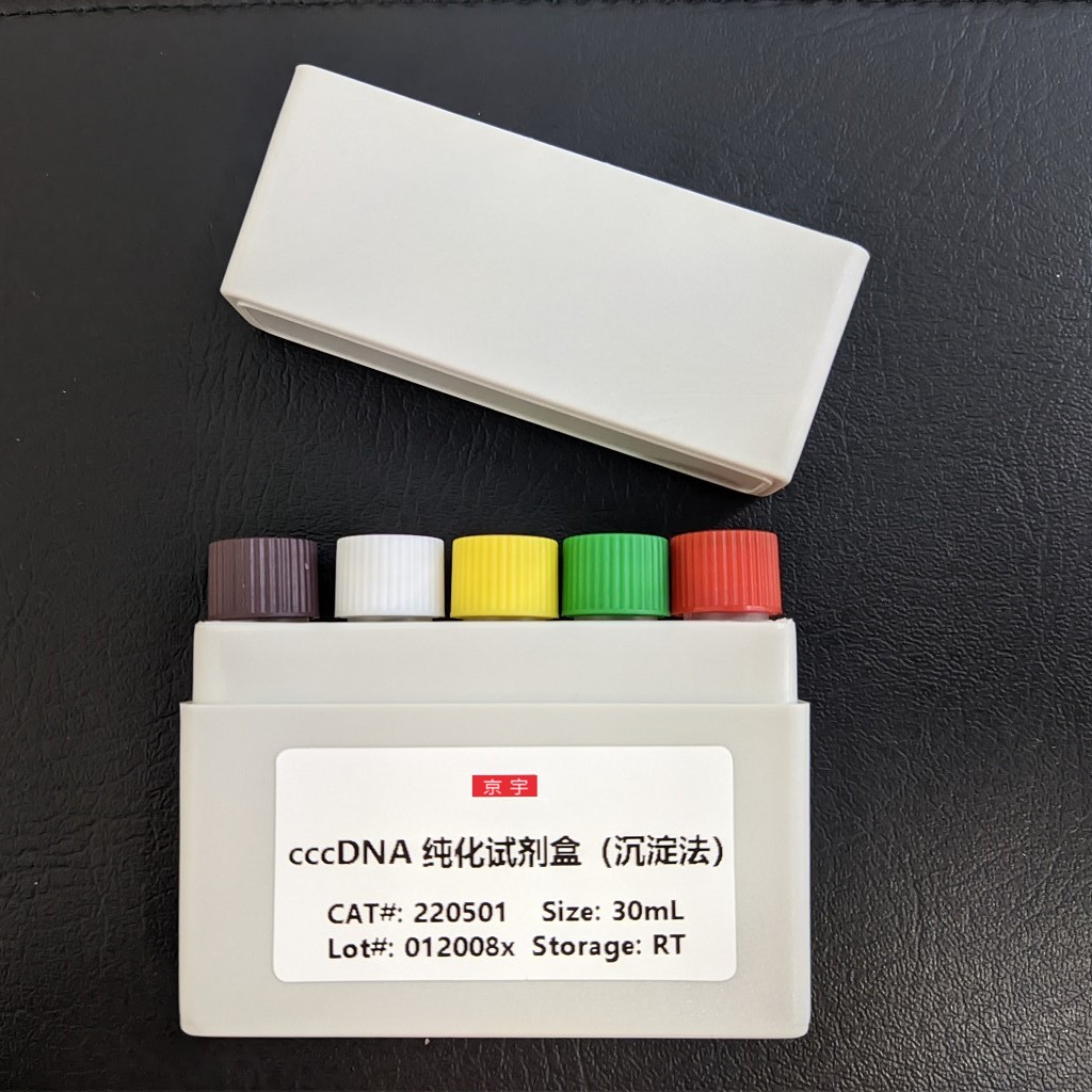 cccDNA纯化试剂盒溶液A图片