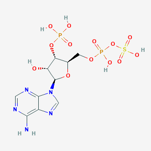 3'-Phosphoadenosine 5'-phosphosulfate [(2R,3S,4R,5R)-5-(6-Aminopurin-9-yl)-4-hydroxy-3-phosphonooxyoxolan-2-yl]methyl sulfo hydrogen phosphate图片