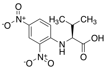 N-(2,4-二硝基苯)-L-缬氨酸图片